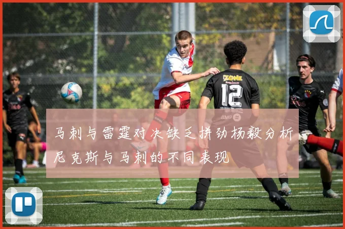 马刺与雷霆对决缺乏拼劲杨毅分析尼克斯与马刺的不同表现